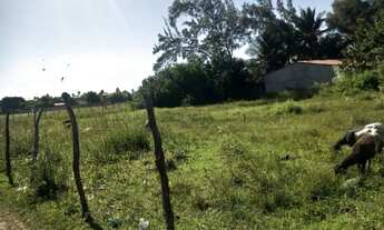 Imagem 5: Terreno de 2.600 metros quadrados em maracajaú