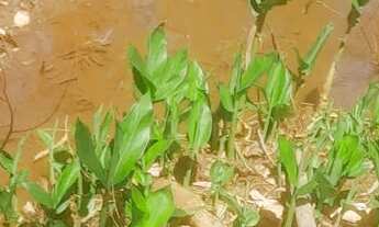 Imagem 6: Terreno com lagoa em serra azul