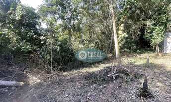 Imagem 5: Terreno com 900 m² no Engenho do Mato com Asfalto na Porta