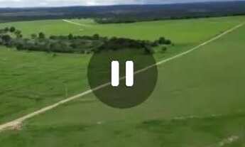 Imagem 4: Fazenda de arrendamento 1.100hec em Itiquira MT