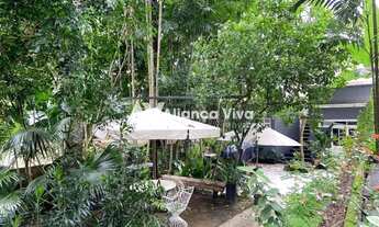 Imagem 4: Jardim Botânico