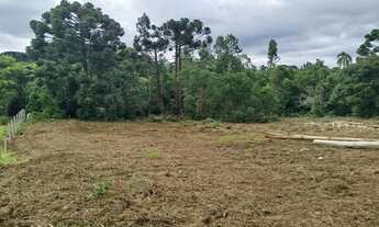 Imagem 4: Chácara com tanque de peixe em quitandinha