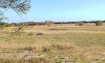 Imagem 5: Vendo excelente área industrial, na RJ 240 Campo da Praia