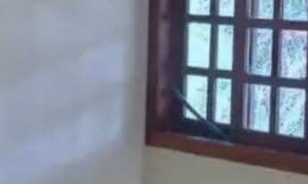 Imagem 6: SÍTIO 12,3 HC EM CAETÉ MG