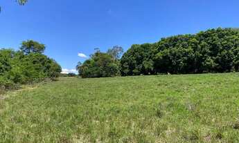 Imagem 7: Chácaras de 2mil mt em o trindade próxima do povoado de Santa Maria!