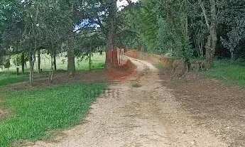 Imagem: Chácara/Área - Retiro Grande - Campo Largo