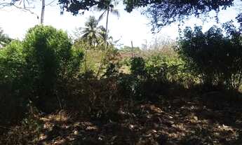 Imagem 4: TERRENO NO MOSQUEIRO - MATAPOÃ [27720