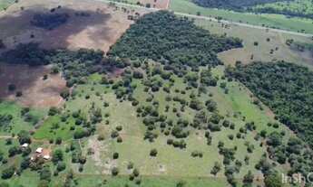 Imagem 5: ? Área Rural à Venda - GO-080 (Goiânia / Nerópolis