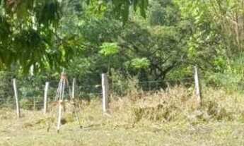 Imagem 3: Sítio na melhor região de Itatiaiuçu!