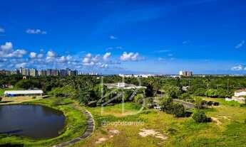 Imagem 5: Luiz Conceição Jardins Vista Sementeira próximo a Pisolar e novo Viaduto Coroa do Meio [16