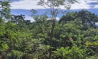 Imagem 4: Terrenos de 1.000m² a 19 km de Pirenópolis com oferta para os 10 primeiros