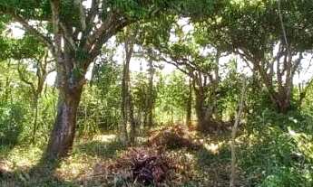 Imagem 4: Terreno em Saubara 180m²