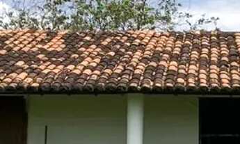 Imagem 5: Chácara de 60 Tarefas - Maruim