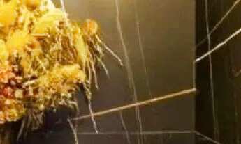 Imagem 7: APARTAMENTO - CAMPESTRE - SP