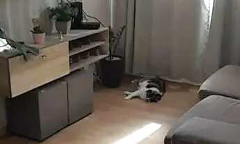 Imagem 4: Casa para venda em PARQUE DOS LAGOS de 48.00m² com 2 Quartos e 1 Garagem