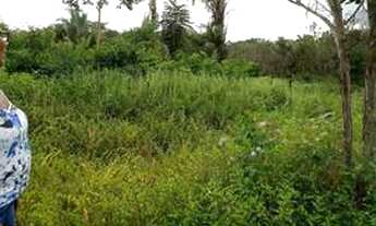 Imagem 2: Vendo Terreno no Povoado Santa Teresa