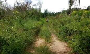 Imagem 4: Vendo Terreno no Povoado Santa Teresa