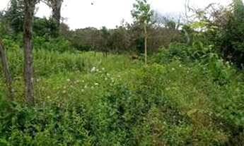 Imagem 3: Vendo Terreno no Povoado Santa Teresa