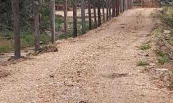 Imagem 7: Chácara à venda, Recanto Formosinho - Bonito/MS