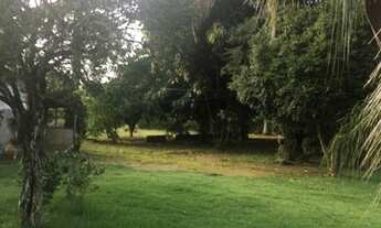 Imagem: Terreno Xuri