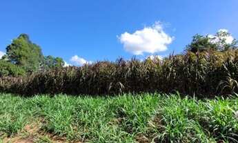 Imagem 2: Sítio para Venda em Uberlândia, Centro, 3 dormitórios, 1 suíte, 3 banheiros