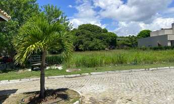 Imagem 3: Terreno 1000m² em Busca Vida R$ 700.000,00
