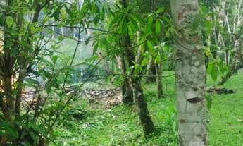 Imagem 3: Super oportunidade chácara 130 mil reais