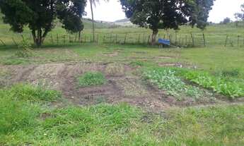 Imagem 2: Vendo fazenda em Dias Davila