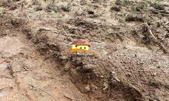 Imagem 7: Fazenda para Venda, Vale do Araguaia