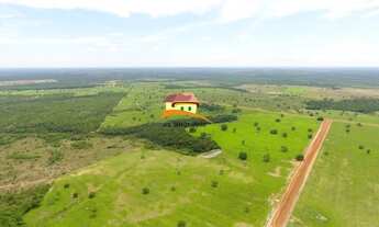 Imagem 2: Fazenda para Venda, Região produtora em expansão