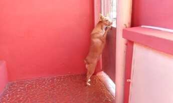 Imagem 7: CASA RESIDENCIAL em Resende - RJ, Centro