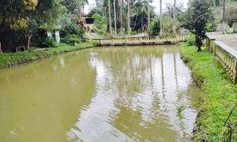 Imagem 4: VENDE-SE CHÁCARA EM MEIO A UM PARAÍSO, NA CIDADE DE JUQUITIBA - SP