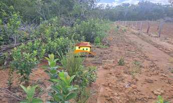 Imagem 5: Fazenda para Venda, Região produtora consolidada