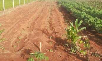 Imagem 4: Guapo - Chácara