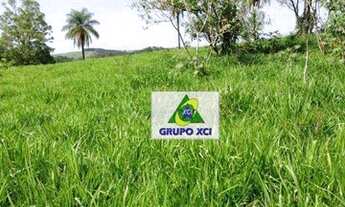 Imagem 7: SITIO VENDA - SANTO ANTONIO DE POSSE