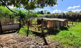 Imagem 5: Sítio para Venda em Uberlândia, Centro, 3 dormitórios, 1 suíte, 3 banheiros