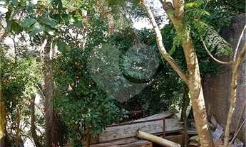 Imagem 3: São Paulo - Terreno Padrão - VILA GUSTAVO