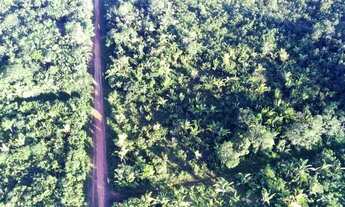 Imagem 3: Terreno 500.000m2