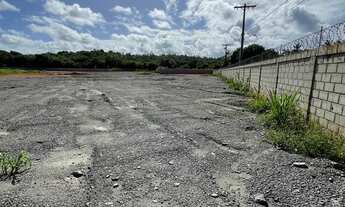 Imagem 5: Excelente área com 22.000m2, murado com concertina, plano (terraplanagem), sistema de dren