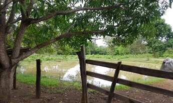 Imagem 5: Chácara Fazenda em Formosa GO 36 hectares = 320.000m²