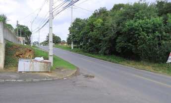 Imagem 5: SANTA FELICIDADE