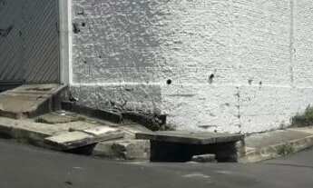 Imagem: Canil Pronto no Tarumã