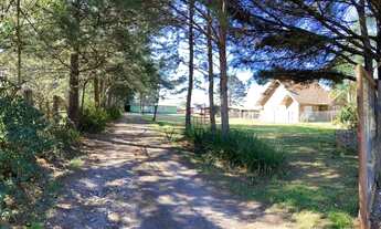 Imagem 3: Terreno no Centro de Canela!