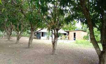 Imagem 2: Chácara Fazenda em Formosa GO 36 hectares = 320.000m²