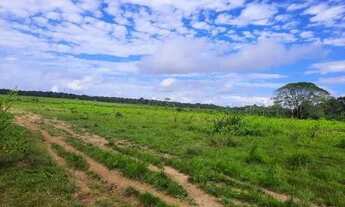 Imagem 3: Fazenda em Viseu de 30.070m2, com 16 açudes para gado, 5 casas - LT0036GL