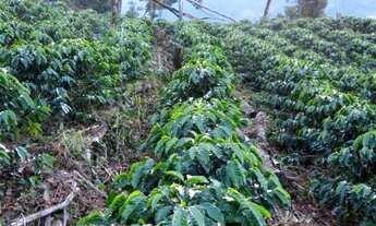 Imagem: Terreno em simonessi