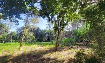 Imagem 4: Velleda oferece bonito sítio, na Águas Claras