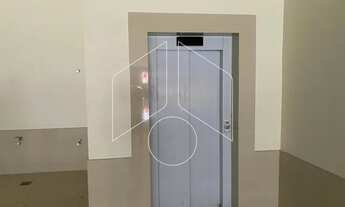 Imagem 3: Comercial Galpão/Barracão em Marília