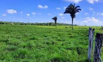 Imagem 2: Fazenda em Viseu de 30.070m2, com 16 açudes para gado, 5 casas - LT0036GL