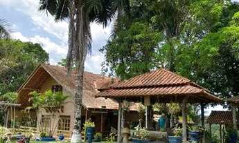 Imagem: Fazenda/Sítio/Chácara para venda tem 625000